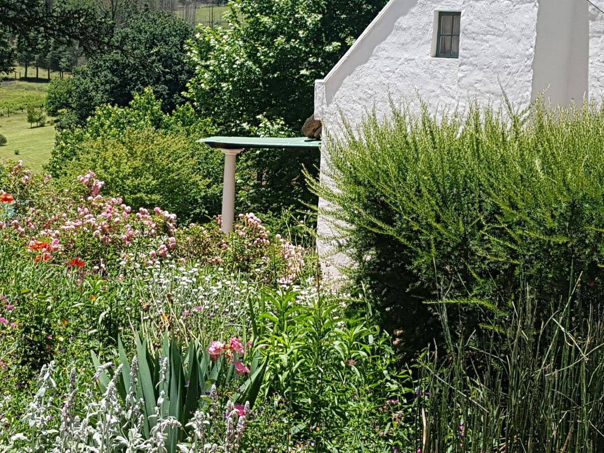 אונדרברג Rosebury Cottage מראה חיצוני תמונה
